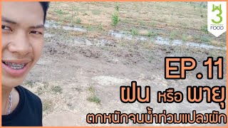 B-Boy Smartfarm | Ep.11 ฝนหรือพายุ ตกหนักจน \