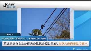 カラス肉の刺身を「究極のジビエ」と紹介　東京新聞コラムが物議...厚労省も注意喚起「非常に危険」