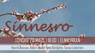 Sinnesro | 20 mars | Henrik Åkesson