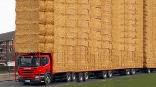 Thrilling Farm Adventure Dangerous Cow Transport \u0026 Automatic Milking - VOLVO Calf Hay Bale