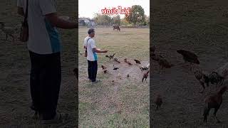 แม่ชอบเลี้ยงไก่ #พอลล่าสายฮา #ลิปซิงค์ #ตลก #ขำๆ #funny #comedy #video #shortvideo #shorts #short