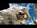 Download 25 Useless Facts About Space That Are Still Cool To Know In Mp4 3Gp Full HD Video