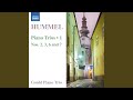 Piano Trio No. 2 in F Major, Op. 22: I. Allegro moderato