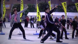 MY matsuri　ひたち舞祭10SPRING　Hi-tachiGP2010 / 坊’Z