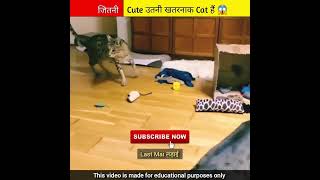 एसी खतरनाक बिल्ली कोई भी मत पालना 😱|#cat #animals #shorts