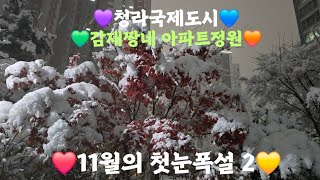 [11월의 첫눈폭설] 117년만에 온 폭설 / 청라국제도시