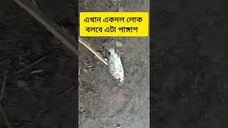 এখন একদল লোক আছে যারা বলবে এটা পাঙ্গাশ #viralvideo #food #shortvideo