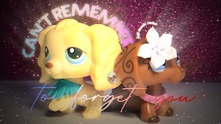 LPS: Can’t Remember To Forget You (Full Music Video)