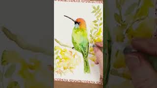 How to Paint a Bee Eater in Loose Watercolor - tap on ▶️ to see the full real-time tutorial