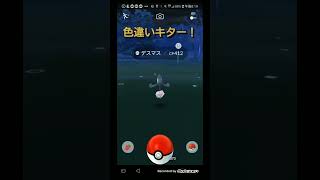 Gデスマス色違い！タスクからキター！！　#ポケモンGO　#Gデスマス　#shorts