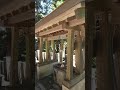 神社に参拝した時に願い事をしないことで良い事や幸運が訪れます