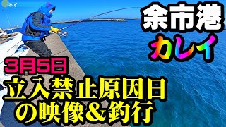 【釣り】北海道余市港・ホッケ・カレイ・立入禁止原因日の映像と釣行：2023年3月5日