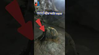 গণেশের আসল মাথা গোপনে রাখা আছে #ganesh #ganeshchaturthi #patalbhuvaneshwar