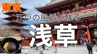 【浅草】はこうやって遊びます。最古の遊園地、花やしきにも突撃