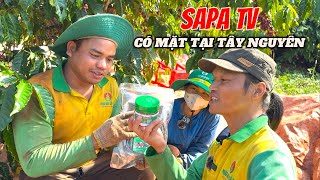 SaPa Tv Đã Có Mặt Tại Tây Nguyên Trong Ngày Thu Hoạch Cà Phê | Già Làng Tây Nguyên