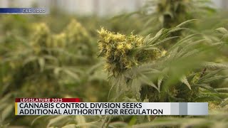 Proposed bill would give Cannabis Control Division more authority for regulation