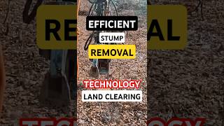 Efficient Stump Removal: Modern Technology for Land Clearing!