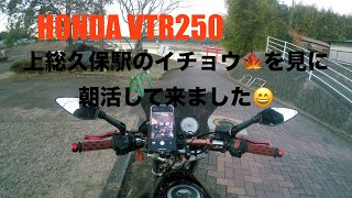 2024.12.15 HONDA VTR250 上総久保駅のイチョウの木を見に行ってきました