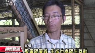 20131112公視晚間新聞－景氣差募款難 教養院推捐款送母雞