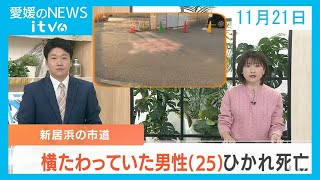 愛媛のニュース(11月21日)