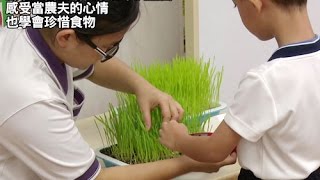 【人間菩提】20150329 - 啟蒙教育．增長慧命