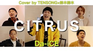 【Covered by TENSONG x 鈴木鈴木】CITRUS / Da-iCE