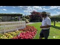 pvg walkabout garden tour bring color into the shade