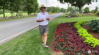 PVG Walkabout Garden Tour: Bring Color into the Shade