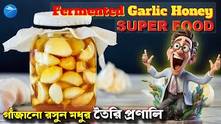 Fermented Garlic Honey Benefits | গাঁজানো রসুন মধুর তৈরি প্রণালি | খাওয়ার নিয়ম | Side Effects