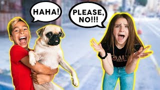 YOU WON'T BELIEVE WHAT I DID! **PRANK ON PIPER ROCKELLE** | The Royalty Family