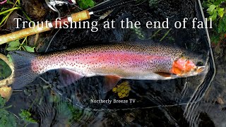 【 -4K-  Trout fishng at the end of fall 】秋はデカニジの季節