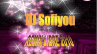 DJ Sofiyou - We like to party Megamixer