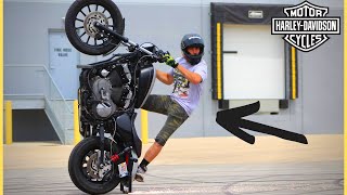 Can Your Harley Do THIS?! (Full Parts List)