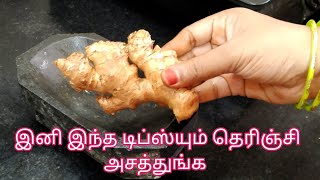 இத்தனை வருஷமா தப்பா செஞ்சிட்டோமோ 🤔|kitche tips in tamil|How to make perfect Ginger tea in tamil