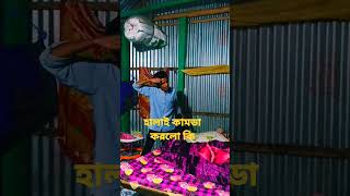 হালাই কামডা করলো কি😂😂😂 শেষে মজা আছে ১০০% ফানি ভিডিও #comedyvideo #funny #vairal #sshort