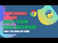 How to Build Your Own Browser 🌐 Using Python | Python Project | PyQt5