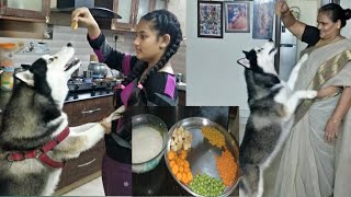 how to feed Siberian husky Indian male for husky dog  (veer) daily food preparation and feeding