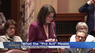 Minnesota Senate passes bill that would protect abortion rights in state law