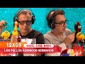 NADIE SABE NADA 12x09 | Los pollos agónicos hermanos