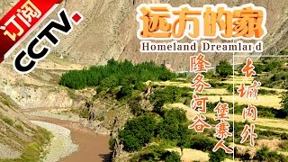 Homeland Dreamland 20160317 | CCTV中文国际