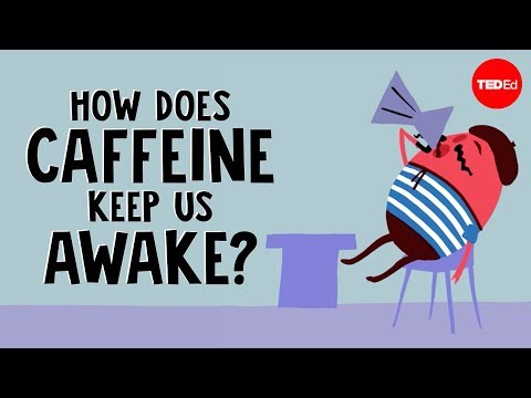 How does caffeine keep us awake? - Hanan Qasim How does caffeine keep us awake? - Hanan Qasim