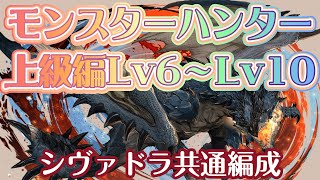 【モンスターハンター上級編】Lv6〜Lv10、シヴァドラ共通編成、ほぼずらすだけ、モンハン、MH【パズドラ】