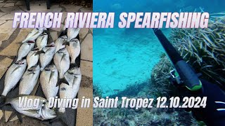 How did I spearfish 16 Sea Bream in One Day! (Vlog :  12.10.24)