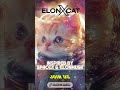 elonxcat brings memes and crypto together for everyone 🌟 elonxmusk u0026 spacex meme coin