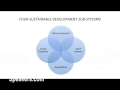 Jeffrey Sachs on Sustainable Development