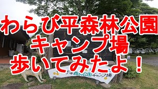 （群馬県高崎市倉渕町）わらび平森林公園キャンプ場