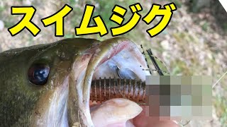 【バス釣り】釣れるスイムジグのおすすめ紹介！選び方や使い方を理解してトレーラーワームのポテンシャルを引き出せ！【スコーンリグ】【ジャッカル】【レイドジャパン】【バス釣りJAPANちゃんねる】