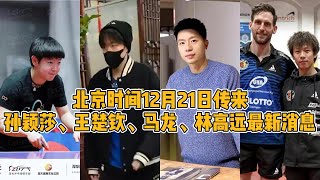 北京时间12月21日传来国乒王楚钦、孙颖莎、马龙、林高远最新消息【中国乒乓比赛传奇】