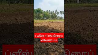 உழைப்பு நம்முடையது