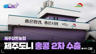 제주양돈농협 제주도니 홍콩 2차 수출